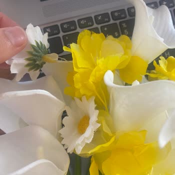 Siparişimde Hayal Kırıklığı Ve İletişim Sorunu