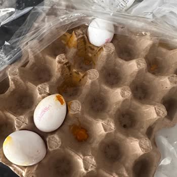 Kırık Yumurtalar İçin Eksik İade Mağduriyeti