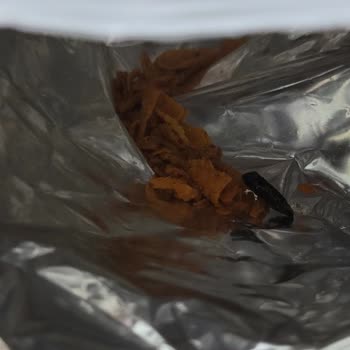 Patos Cips Paketinde Şüpheli Parça Ve Değişik Tat Deneyimi