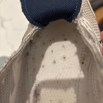 Kısa Sürede Yırtılan Ve Koku Yapan Ayakkabının Değişimini Talep Ediyorum