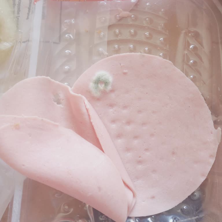 Son Kullanma Tarihi Geçmemiş Salam Küflü Çıktı Param Boşa Gitti