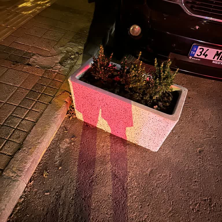 Yeşilköy'de Sokak Ortasına Konulan Saksılar Araç Parkını Engelliyor