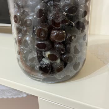 BİM'den Aldığım Zeytin Küflü Çıktı!