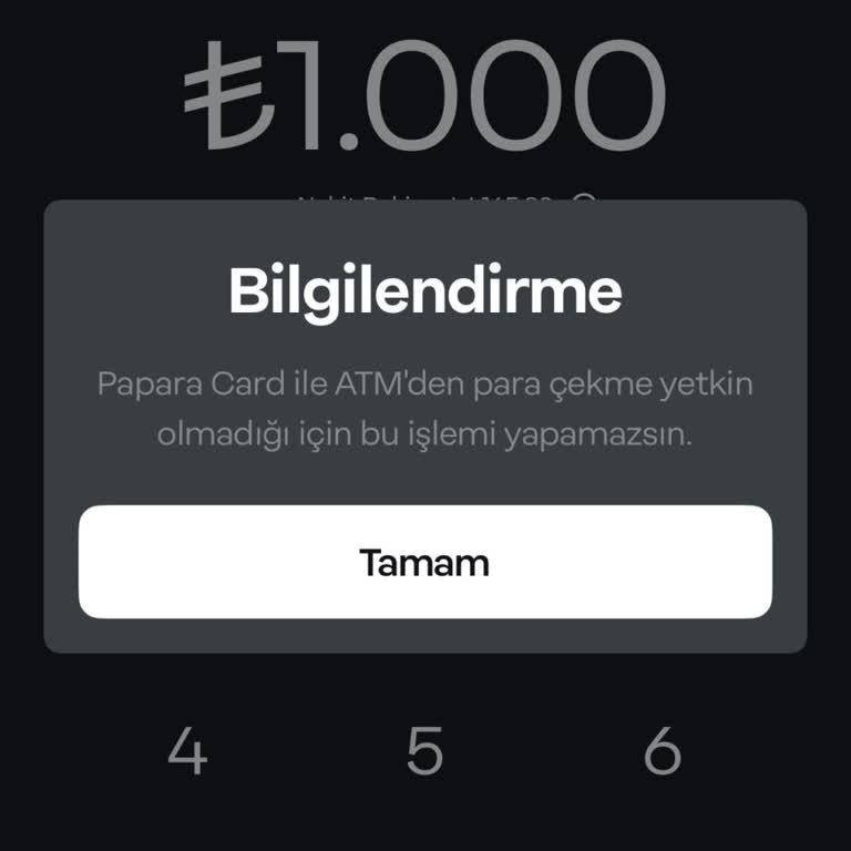 Papara Hesabımda Sürekli Yaşanan Erişim Sorunu Artık Can Sıkıyor