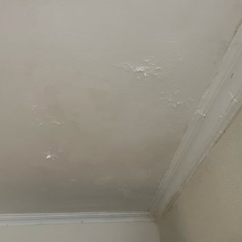 Hayal Kırıklığı Yaratan Otel Deneyimi: Kötü Oda Koşulları Ve Yetersiz Hizmet