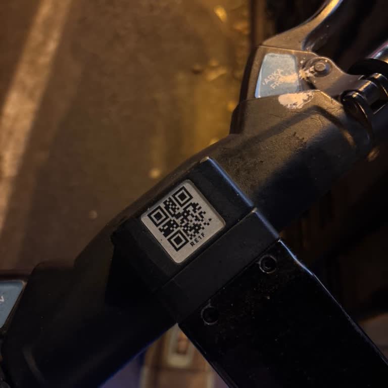 BinBin Kiralama Sonlandırılamadı, Fazla Ücret Alındı