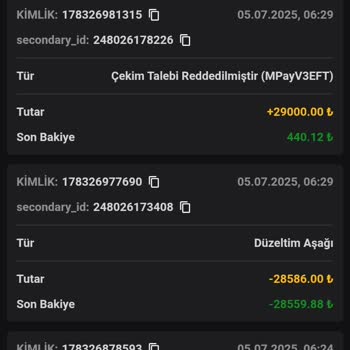 Vaycasino Kazancımın Silinmesi Ve Canlı Destek Sorunları Nedeniyle Mağduriyet Yaşadım
