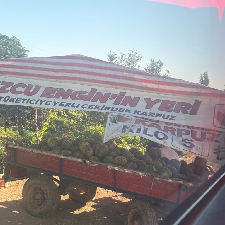 Otobüs Yolculuğunda Beklenmedik Duraklama Ve Gecikme