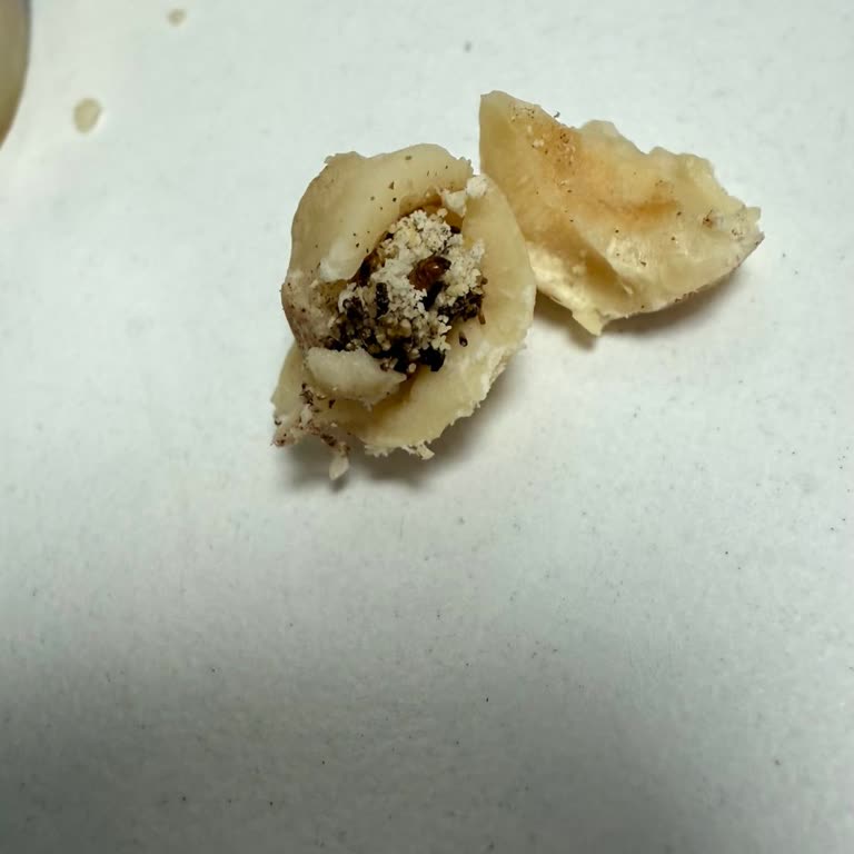 Kavrulmuş Fındıkta Böcek Artığı Ve Kalite Sorunu Yaşadım