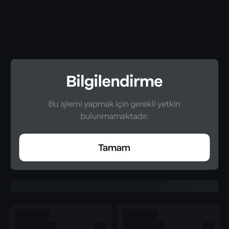 Papara Hesabımda Yetki Kısıtlaması Ve Bakiye Görüntüleme Sorunu Nedeniyle Mağduriyet Yaşıyorum