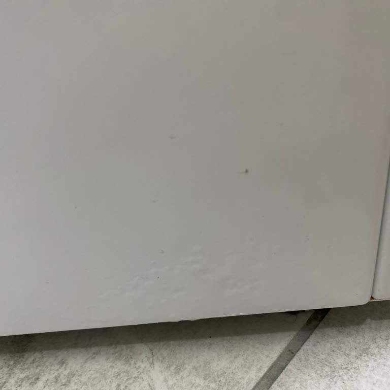 Çamaşır Makinesinde Tekrarlayan Paslanma Ve Kabarma Sorunu