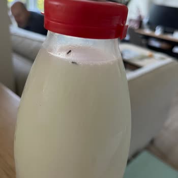 Organik Süt İçinde Böcek Buldum, Bebeğim İçin Endişeliyim