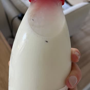 Organik Süt İçinde Böcek Buldum, Bebeğim İçin Endişeliyim