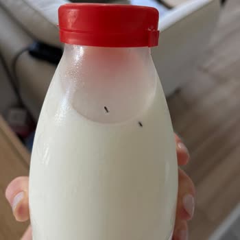 Organik Süt İçinde Böcek Buldum, Bebeğim İçin Endişeliyim