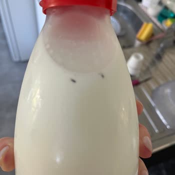 Organik Süt İçinde Böcek Buldum, Bebeğim İçin Endişeliyim