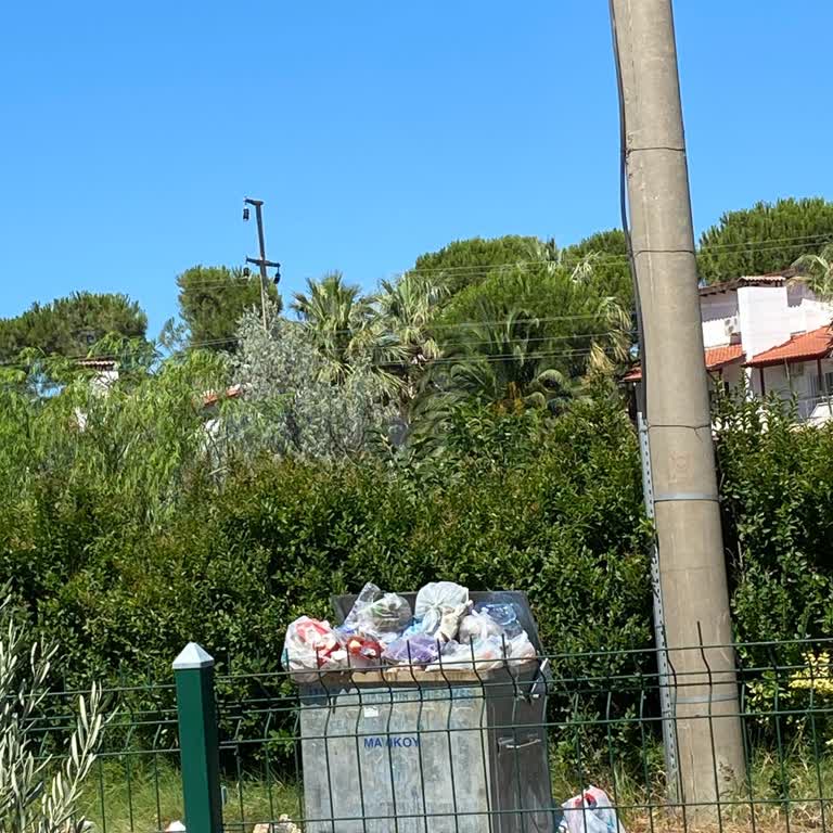 Dikili Salihleraltı'nda Çöp Sorunu Dinlenme Hayalimi Mahvetti