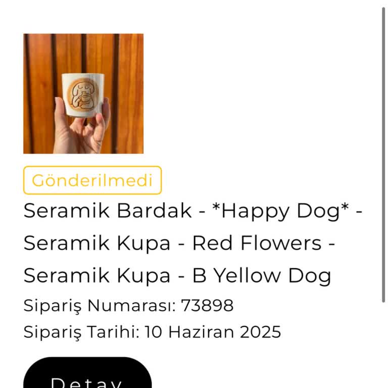 Siparişimle İlgili Cevapsızlık Ve İlerleme Sorunu