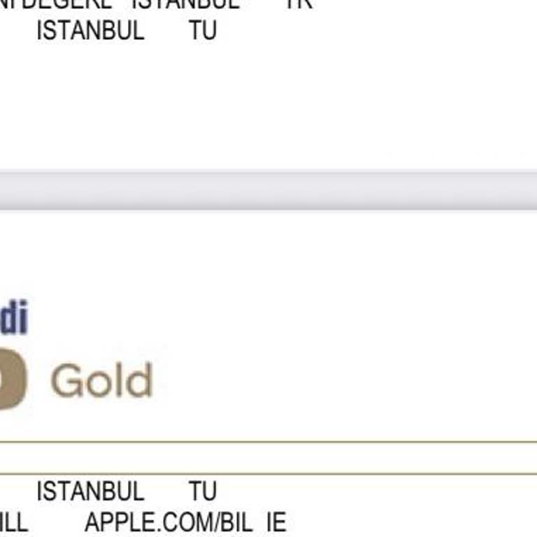 Pasaport Teslimatında Yaşanan Kayıp Ve İletişimsizlik Mağduriyeti