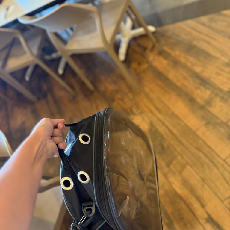 Köfteci Yusuf'ta Kapalı Kedimiz Nedeniyle Restorandan Çıkarıldık