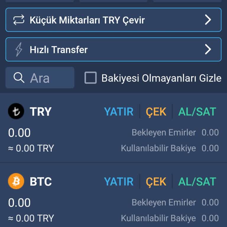Bitexen Hesabımda Token Bakiyem Sıfırlandı