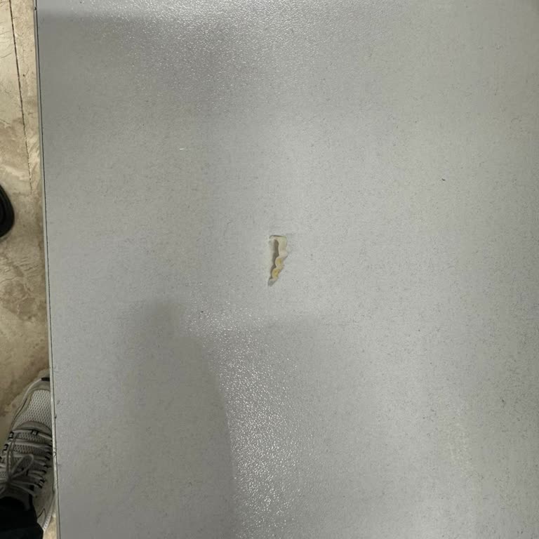 Satın Aldığım Ekmeğin İçinden Sert Plastik Çıkması Ve Mağazadan Yetersiz Geri Dönüş