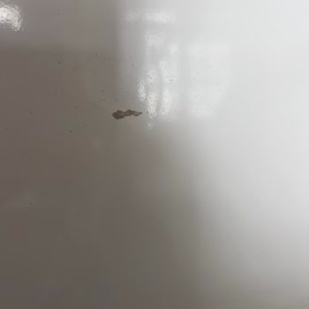 Regal Buzdolabı Arızası Ve Servis Mağduriyeti