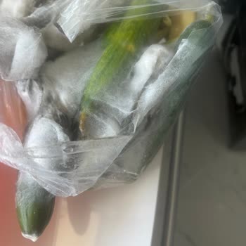 Beko Buzdolabı Arızası Sonrası Servis Ve Müşteri Hizmetleri Mağduriyeti