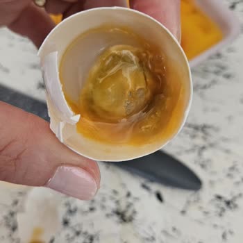 Son Kullanma Tarihi Geçmemiş Yumurtaların Bozuk Çıkması