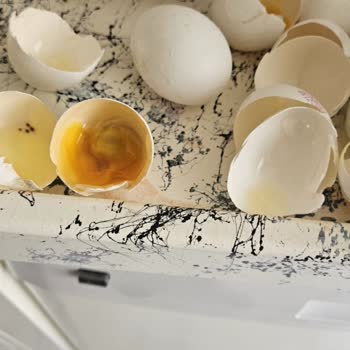 Son Kullanma Tarihi Geçmemiş Yumurtaların Bozuk Çıkması