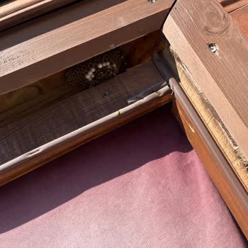 Gece Geç Girişte Yüksek Ücret Ve Kötü Hijyen Deneyimi