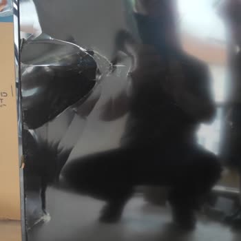 Kargom Orijinal Kutusunda Hasarlı Ve Kırık Ulaştı, Çözüm Bekliyorum