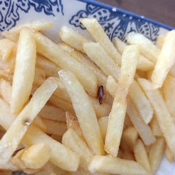 Satın Aldığım Patatesten Böcek Çıktı