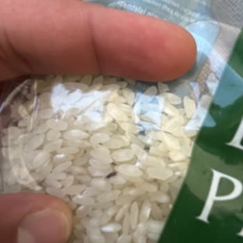 Efsane Baldo Pirinç Böcekli