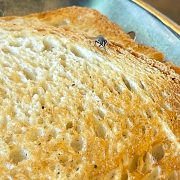 Köfteci Yusuf'ta Hijyen Ve Hizmet Sorunları Hayal Kırıklığı Yarattı