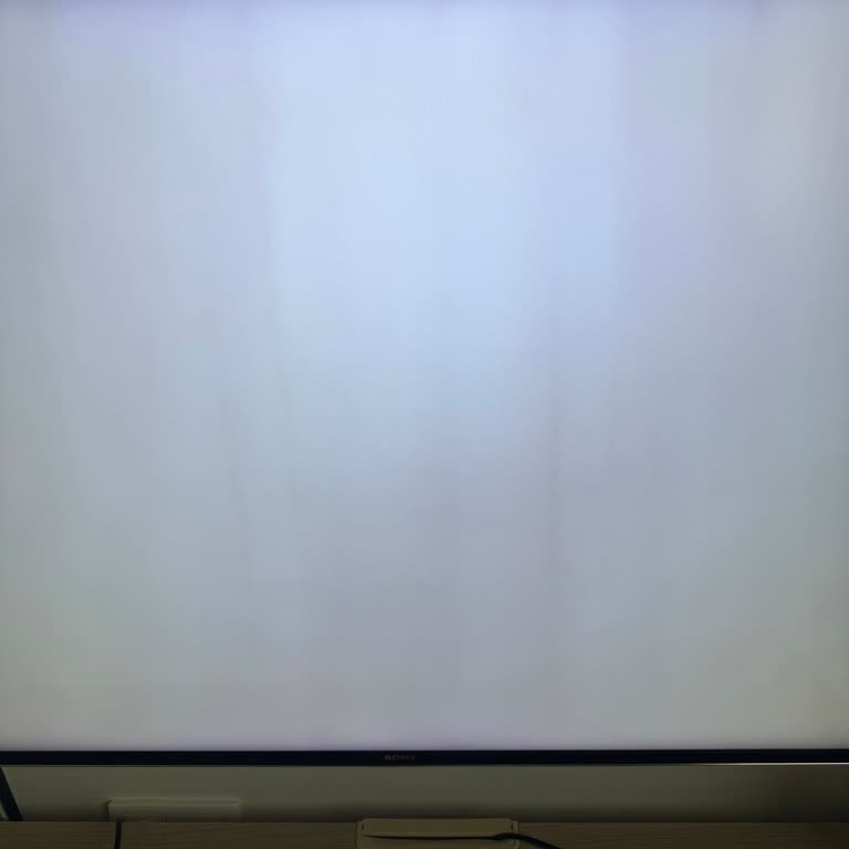 Sony Televizyonumda Oluşan Fabrikasyon Hata Ve Yüksek Servis Ücreti