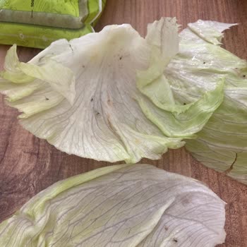 Siparişimde Marullarda Sinek Çıkması Ve Düzensiz Hizmet