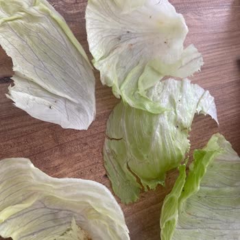 Siparişimde Marullarda Sinek Çıkması Ve Düzensiz Hizmet