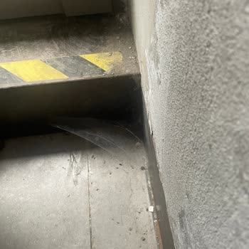 Starbucks Samsun Körfez Şubesi'nde Hijyen Sorunu Ve Hayal Kırıklığı