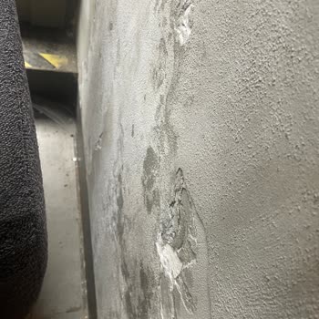 Starbucks Samsun Körfez Şubesi'nde Hijyen Sorunu Ve Hayal Kırıklığı