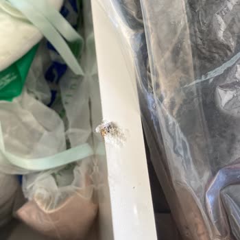 Düğün Paketi Ürünlerinde Kısa Sürede Yaşanan Sorunlar ve Çözüm Talebi