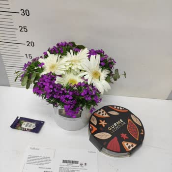 Çiçek Sepeti'nden Gelen Ürün Eksik Ve Solgun Çıktı, Sorumluluk Alınmadı