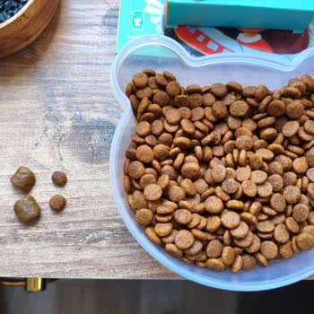 Kedimize Uygun Olmayan Dev Mama Taneleri Hayal Kırıklığı Yarattı