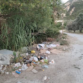 Defne Belediyesi'nin İhmali: Çöpler, Yangın Ve Çevre Kirliliği