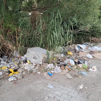 Defne Belediyesi'nin İhmali: Çöpler, Yangın Ve Çevre Kirliliği