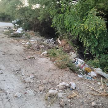 Defne Belediyesi'nin İhmali: Çöpler, Yangın Ve Çevre Kirliliği