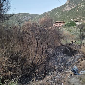 Defne Belediyesi'nin İhmali: Çöpler, Yangın Ve Çevre Kirliliği