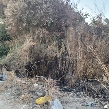 Defne Belediyesi'nin İhmali: Çöpler, Yangın Ve Çevre Kirliliği