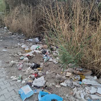 Defne Belediyesi'nin İhmali: Çöpler, Yangın Ve Çevre Kirliliği