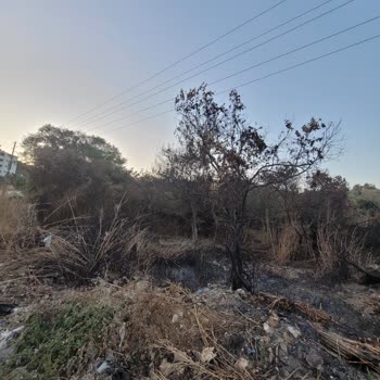 Defne Belediyesi'nin İhmali: Çöpler, Yangın Ve Çevre Kirliliği