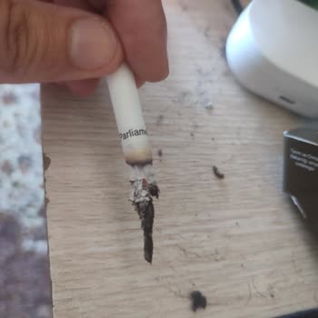 Parliament Sigaralarında Kalite Sorunu Ve Yabancı Madde Şikayeti